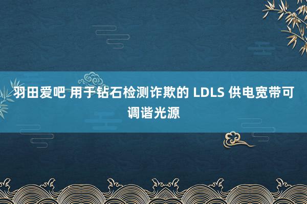 羽田爱吧 用于钻石检测诈欺的 LDLS 供电宽带可调谐光源