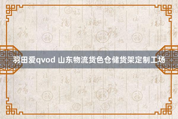 羽田爱qvod 山东物流货色仓储货架定制工场