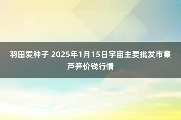 羽田爱种子 2025年1月15日宇宙主要批发市集芦笋价钱行情