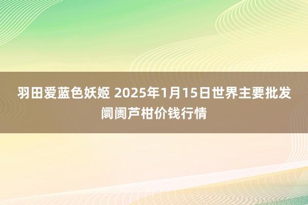 羽田爱蓝色妖姬 2025年1月15日世界主要批发阛阓芦柑价钱行情