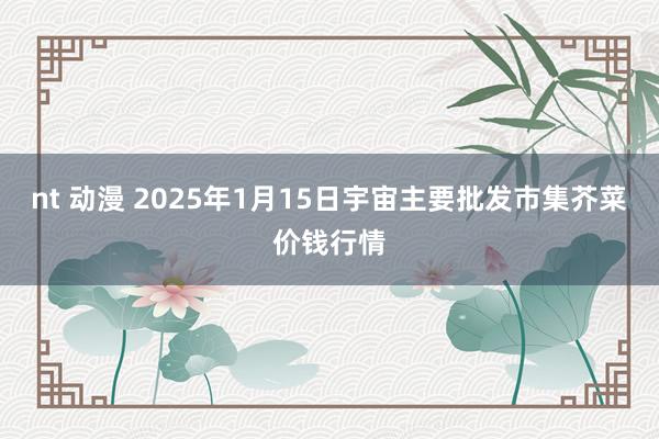 nt 动漫 2025年1月15日宇宙主要批发市集芥菜价钱行情