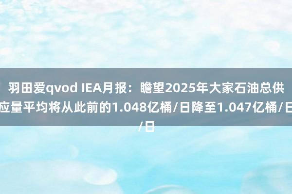 羽田爱qvod IEA月报：瞻望2025年大家石油总供应量平均将从此前的1.048亿桶/日降至1.047亿桶/日