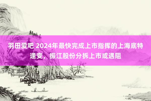 羽田爱吧 2024年最快完成上市指挥的上海底特逢变，振江股份分拆上市或遇阻